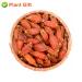 Buy Organic Gardenia Fruit Tea 80G | Chinese Herbal Tea - Jasmine Flavor - Natural Wellness - Buy Online on SooperMarket.com