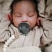 FRIGG Daisy Natural Rubber Baby Pacifier 2-Pack - Woodchuck/French Gray 6-18 Months | BPA-Free | Made in Denmark - Buy Online on SooperMarket.com