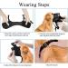 Pubiao Nylon Mesh Dog Muzzle - Breathable Soft Guard for Biting & Chewing - Adjustable Anti-Barking Puppy Muzzle (Black L) - Buy Online on SooperMarket.com