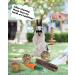 Pweituoet Rabbit Toys for Small Animals - 100% Natural Handmade Chew Treats for Bunny, Hamster, Guinea Pig, Chinchilla, Rat | Variety of 14 Types - Buy Online on SooperMarket.com