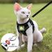 Adjustable Cat Dishes Set - Reflective Soft Lining & Breathable Mesh for Outdoor Training | M Size (Black) - Buy Online on SooperMarket.com