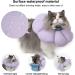 HiDREAM Cat Cone Collar | Cute & Waterproof Elizabethan E-Collar for Cats | Anti-Bite & Lick Wound Healing Collar | Safety Cat Recovery Collar | Medium - Purple - Buy Online on SooperMarket.com
