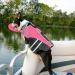 Reflective Dog Life Jacket with Neck Float - High Buoyancy for Swimming - Pink M - Buy Online on SooperMarket.com