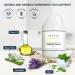 Shoppe Lavender Mint Hotel Conditioner 1 Gallon | Hospitality & Vacation Rentals | Refill Dispenser | Single Gallon - Buy Online on SooperMarket.com