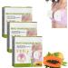 Dyceco Breast Enhancement Patch 2023 New Natural Papaya Rose Breast Enhancement Patches for Improve Sagging 30 Pcs