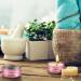 24 Pink Aluminum Jars - Empty Cosmetic Cans for Lip Balm Lotion Cream & Mini Candles - Versatile Travel Trip Containers - Buy Online on SooperMarket.com
