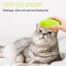 Steamy Cat Brush - 3 in 1 Cat Steamer Brush Cat Spray Massage Comb Multifunctional Dog Steamer Brush Cat Grooming Brush Pet Hair Removal Comb for Cat (Green) - Buy Online on SooperMarket.com