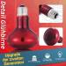 Buy Lucky Herp Reptiles Heat Lamp 100W 2-Pack | Infrared Red Light Terrarium Heating Lamp for Turtles Bearded Dragons Chickens & Dogs - Buy Online on SooperMarket.com