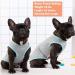 KYEESE 2 Pack Sun Protection Dog Shirts - Reflective Label Tank Top for Small Medium Dogs - Grey+Blue - Size 18 - Buy Online on SooperMarket.com