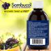 Sambucol Black Elderberry Anti-Viral Flu Care Syrup | Quickly Relieves Cold & Flu Symptoms | Immune Support & Antioxidant | Ideal for Families | 500 mL Anti-Viral Flu Care 500 ml (Pack of 1) - Buy Online on SooperMarket.com