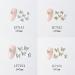 22 Pcs 3D Butterfly Nail Charms & Diamonds Rhinestones - Large Bow for Nail Art Beauty Design and DIY Jewelry - Buy Online on SooperMarket.com