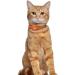 Buy Oopsdoggy Airtag Leather Cat Collar with Bells - Durable & Lightweight GPS Pet Collar for Cats & Small Dogs (Orange) - Buy Online on SooperMarket.com