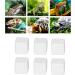 Premium Aquarium Calcium Stone - Essential Trace Elements for Turtles Snails & Reptiles - Ideal for Terrestrial Animals - Buy Online on SooperMarket.com