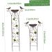 2-in-1 Metal Bird Water Dispenser & Feeder - Retro Garden Decor for Outdoors - Buy Online on SooperMarket.com