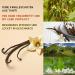 Premium Tahitian Vanilla Pods - 5 Whole Pieces (10.5g) for Baking & Cooking | JUST VANILLA - Buy Online on SooperMarket.com