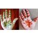 JEVR Henna Mehandi Leaves 100% Pure Natural Hair Conditioning Hair Care Organic Product for Men and Women - Mehandi Patta with Lawsonia Inermis - Pack of 200gm - Buy Online on SooperMarket.com