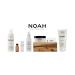 Noah Hair 1.5 Purifying Shampoo - Organic Green Tea & Basil Shampoo | Natural Dandruff Solution | 8.5 fl. oz - Buy Online on SooperMarket.com