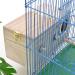 Wooden Parrot Breeding Box for Birds - Budgie, Cockatiel, Parakeet, Lovebirds, Conure, Cockatoo - Nesting Box for Cage - 7.8x4.7x4.7 inch - Buy Online on SooperMarket.com
