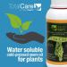 NatureNeem TotalCare Water soluble Neem oil - Cold Pressed - 1 Litre - 100% Natural Certified Organic - Buy Online on SooperMarket.com