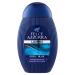 Felce Azzurra Coolblue Shower Gel 250 ml
