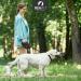 Reavet 5m Ergonomic Dog Leash for Large Dogs (Up to 50kg) - Non-Slip Robust with Brake-Stop System | International Shipping - Buy Online on SooperMarket.com