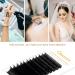 Buy Qwaszx Eyelash Extension Fans - Curling 0.05/0.07 C/D - 8-15mm Mixed Flowering Lashes for Perfect Eyelash Extensions - Buy Online on SooperMarket.com