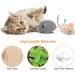 Dacitiery 9Pcs Catnip Mice Toys - Interactive Play & Teeth Cleaning for Cats & Kittens - Buy Online on SooperMarket.com