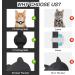2 Pack Airtag Cat Collar Breakaway with Bell Reflective Kitten Collar with Apple Airtag Cat Collar Holder Adjustable 7-12In Safety Buckle for Girl Boy Cats Pet Supplies Accessories Gifts (Black) - Buy Online on SooperMarket.com