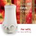 Glade PlugIns Air Freshener Refill Scented and Essential Oils for Bathroom and Home Fragrance Apple Cinnamon 5 Count - Buy Online on SooperMarket.com