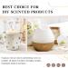EUQEE Fig Fragrance Oil 60ml - Premium Grade Aromatherapy Essential Oil for Diffusers and DIY Candle Making - Buy Online on SooperMarket.com