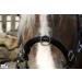 Buy Tysons Breeches Cavesson Leather - Extra Large Coldblood X-Full XX Full with Bit Attachment | Premium Quality Horse Tack - Buy Online on SooperMarket.com
