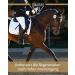 Equistro Haemolytan 400 - Vitality Support Supplement for Horses | Enhance Performance | 250ml - Buy Online on SooperMarket.com