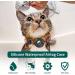 Reflective Airtag Cat Collar with Bell | Waterproof Holder Case for Apple Airtag | Breakaway Safety Buckle | Orange - Ideal for Cat or Kitten - Buy Online on SooperMarket.com