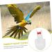 Buy PopetPop Flying Bird Diapers - Stylish Sittich-Outfit Bowknots for Parrots & Pigeons | High-Quality Cotton Bird Clothing 22x12cm - Buy Online on SooperMarket.com