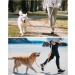 Hurluksi Dog Waist Lead - Hands-Free Heavy Duty Running Belt Leash with Bungee Retractable Design and Sponge Handle (Orange) - Buy Online on SooperMarket.com