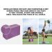 Clever Yoga 2 Pack Blocks and Strap Set - Lightweight High Density Foam Blocks (9x6x4 Inches) & 8FT Cotton Strap for Yoga Beginners - Purple - Buy Online on SooperMarket.com