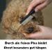 Moki Bear Flea Comb & Lice Comb for Cats & Dogs | Professional Anti-Flea & Lice Tool - Buy Online on SooperMarket.com