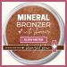 Giselle Cosmeics Gold Digger Mineral Makeup: Pure Non-Diluted Bronzer, Foundation, Concealer, Eye Shadow, Blush & Contouring Palette - Buy Online on SooperMarket.com
