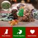 Festive Christmas Catnip Toys for Cats - Bite Resistant & Catnip Filled Teething Toy - Buy Online on SooperMarket.com