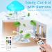 Rain Cloud Humidifier with Remote & Waterfall Lamp - White Noise & Rain Sounds for Bedroom Desk - Air Humidifier - Buy Online on SooperMarket.com