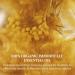 Buy L'Occitane Immortelle Divine Cleansing Balm 2.10 oz - Luxurious Skincare for All Skin Types | International Shipping - Buy Online on SooperMarket.com