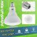 LUCKY HERP 150W Reptile Heat Bulb Basking Spot Heat Lamp for Reptiles Vivarium Light for Amphibian Chicks Dog Heating Use 150W 1 Pack - Buy Online on SooperMarket.com