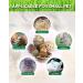 Pweituoet Rabbit Toys for Small Animals - 100% Natural Handmade Chew Treats for Bunny, Hamster, Guinea Pig, Chinchilla, Rat | Variety of 14 Types - Buy Online on SooperMarket.com