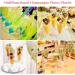 200 Pcs Clear Plastic Champagne Flutes - Disposable Toasting Glasses for Wedding & Parties - Buy Online on SooperMarket.com