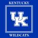 Westrick Kentucky Wildcats Party Supplies - 48 Pieces (Serves 16) - Buy Online on SooperMarket.com