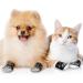 X-Small Dog Indoor Socks - 16 Pieces Anti-Slip Dog Socks with Grips for Hardwood Floors - Buy Online on SooperMarket.com