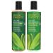 Desert Essence Tea Tree Replenishing Shampoo and Conditioner Bundle - 12.7 Fl Ounce - Therapeutic - Peppermint & Yucca - All Skin Types - Tea Tree Oil - Restore & Nurture Hair