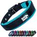 Black Rhino - The Comfort collar super soft neoprene posted dog collar for all dog breeds - highly contaminable adjustable reflective weatherproof (large sports blue/gray) sport blue/gray large
