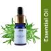 Nykaa Naturals Rosemary Essential Oil - Thicker Hair & Anti-Dandruff - Acne Control & Skin Renewal - 0.33 oz Worldwide Shipping - Buy Online on SooperMarket.com