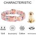 Pink Bow Tie Dog Collar | Adjustable for Girl Dogs | Metal Quick Release Buckle | Orange | Size L (38-60CM) - Buy Online on SooperMarket.com